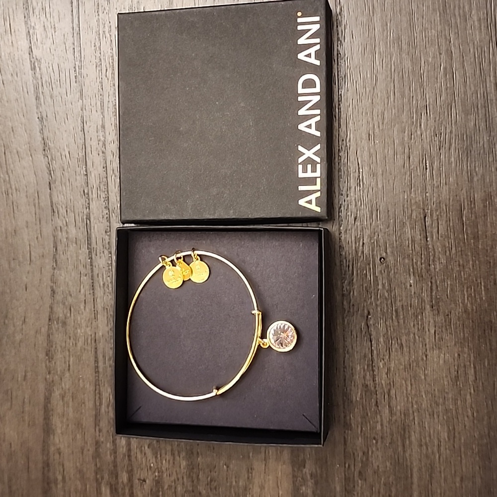 Alexi and Ani June Birthstone Bracelet